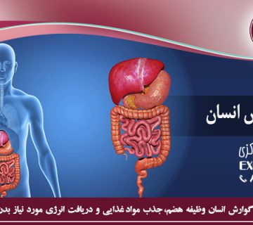 اختلالات هضم
