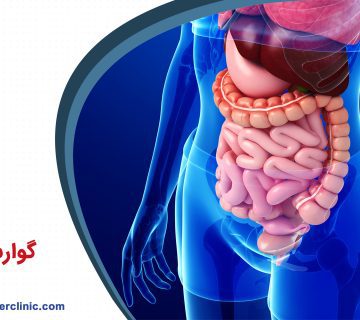 گوارش و کبد