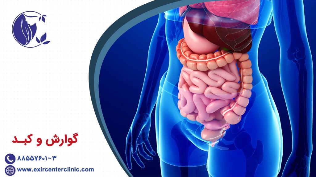 گوارش و کبد