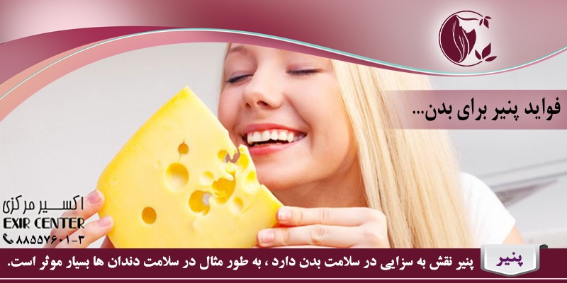 فواید پنیر برای بدن 