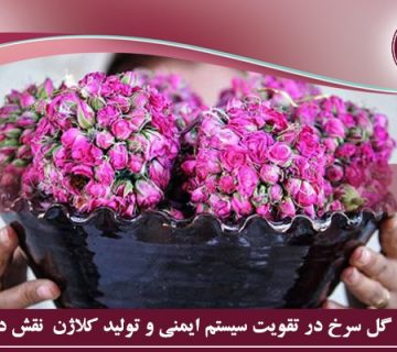 خواص گل سرخ