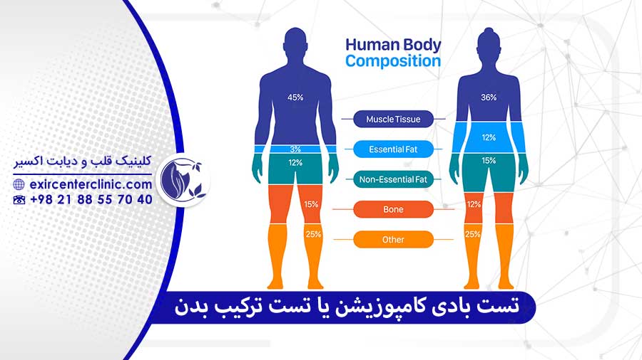 تست بادی کامپوزیشن