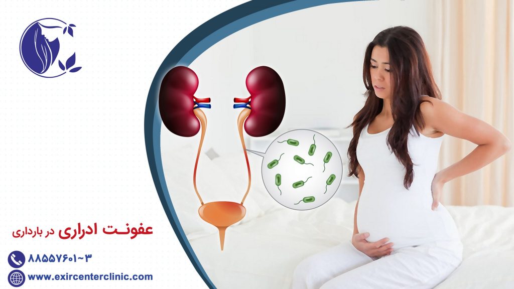 عفونت ادراری در ﺑﺎرداری