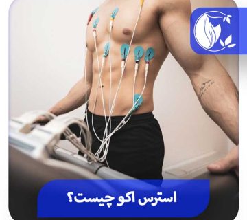 استرس اکو چیست و برای چه منظوری استفاده می‌شود؟