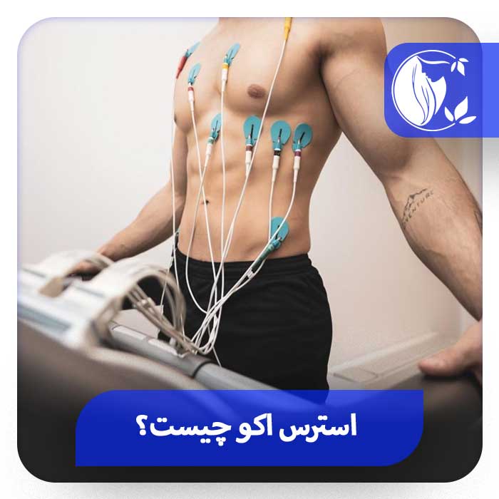 استرس اکو چیست و برای چه منظوری استفاده می‌شود؟