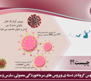 ویروس کرونا چیست