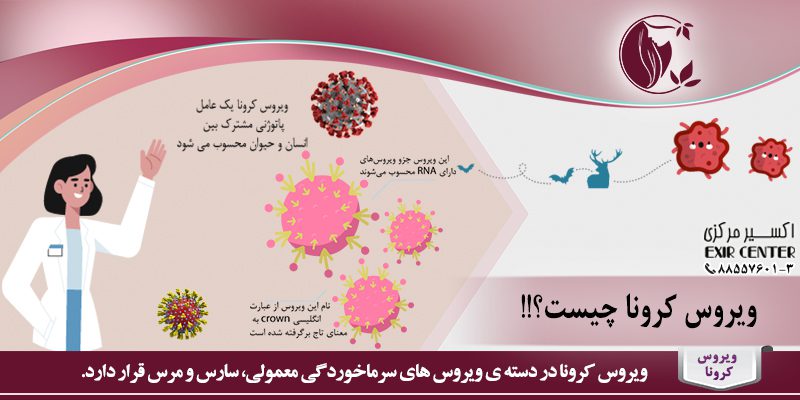 ویروس کرونا چیست