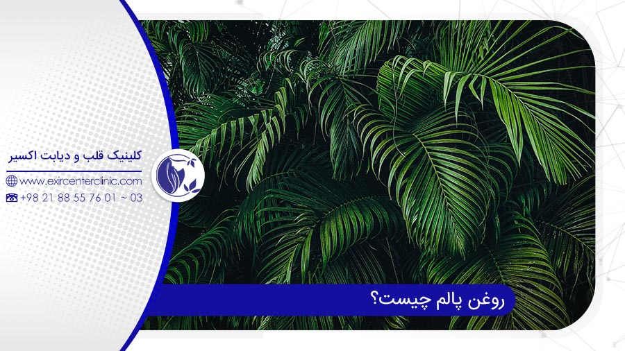 روغن پالم چیست؟