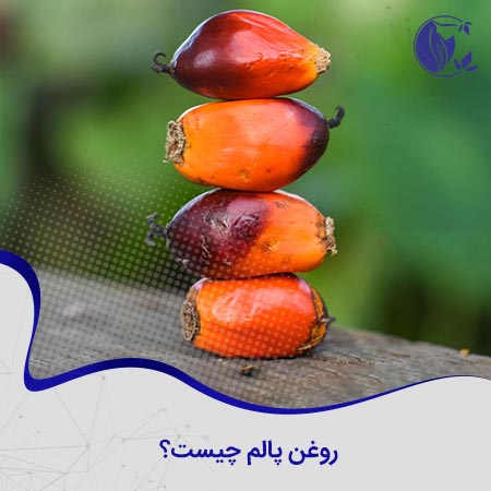 روغن پالم