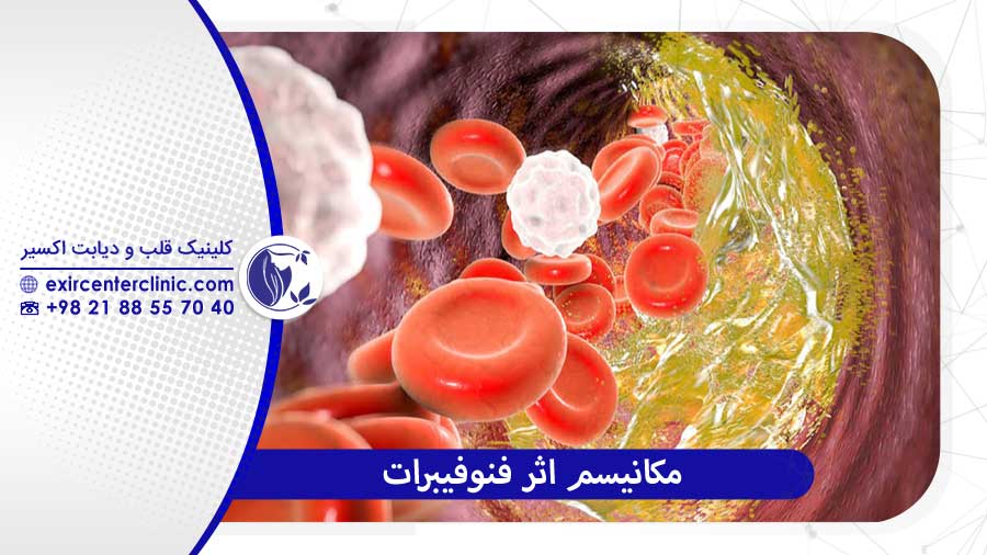 مکانیسم اثر فنوفیبرات